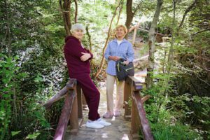 traveling tips for seniors with limited mobility